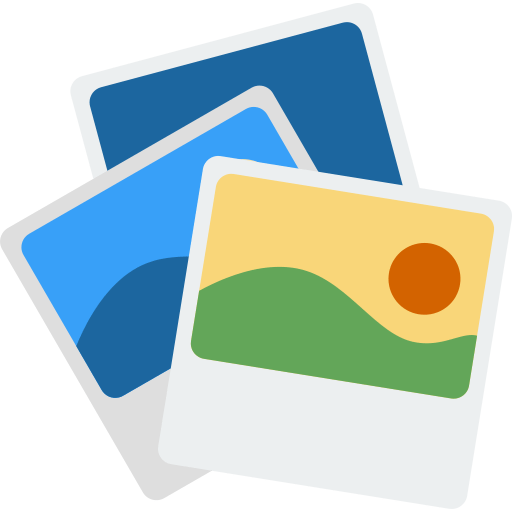 ai-collab/bulk-image-organizer